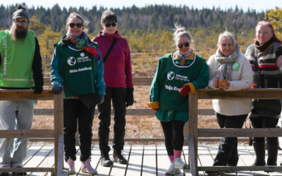 Paluu Lounais-Hämeen Vihreiden puheenjohtajaksi